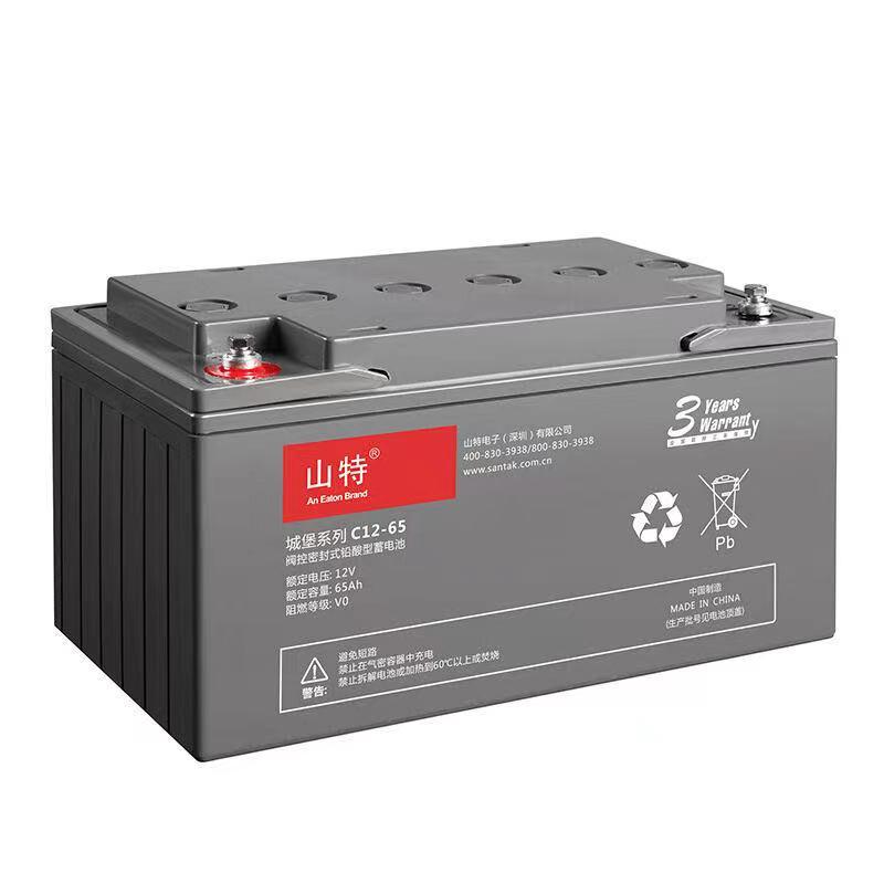 山特 12V 65AH（伐控式 铅酸免维护）